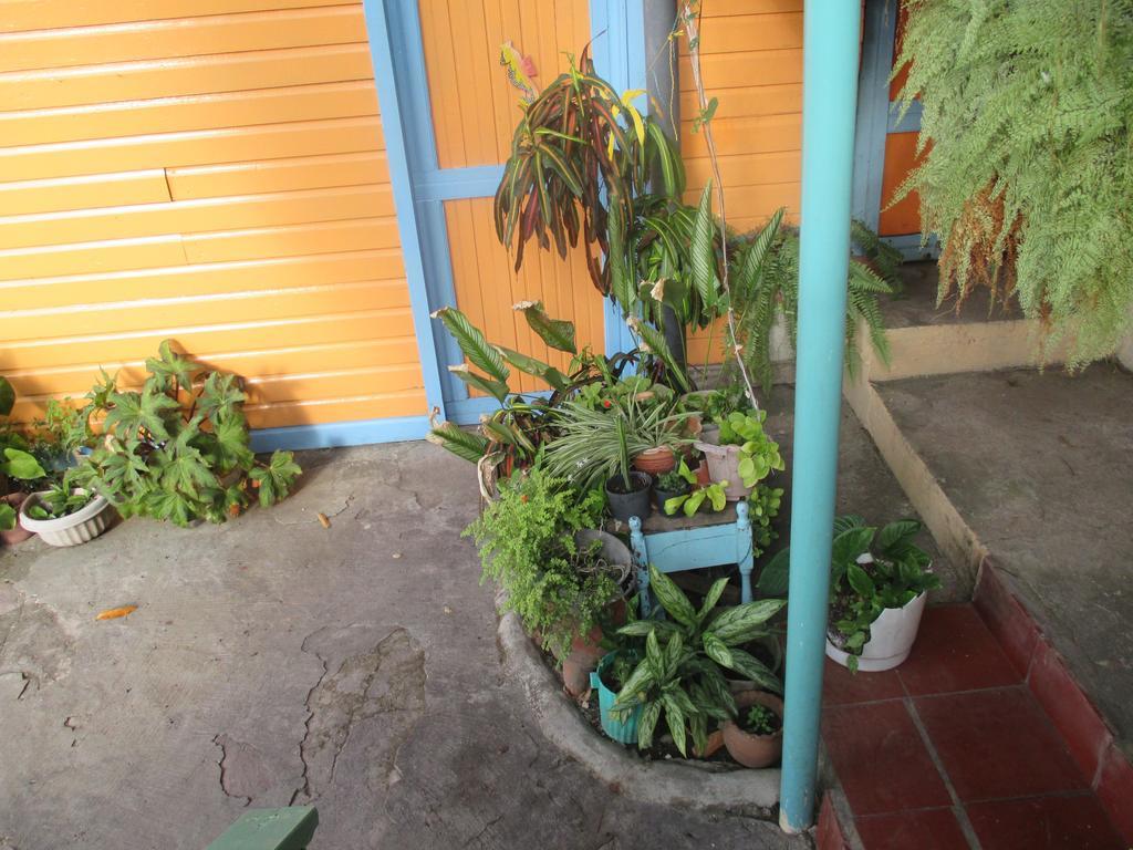 Hotel Flemming Tree Providencia Island Екстер'єр фото