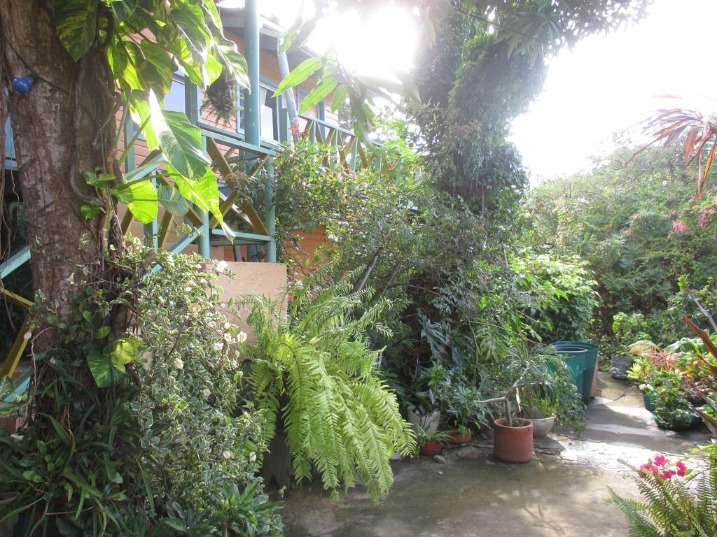 Hotel Flemming Tree Providencia Island Екстер'єр фото