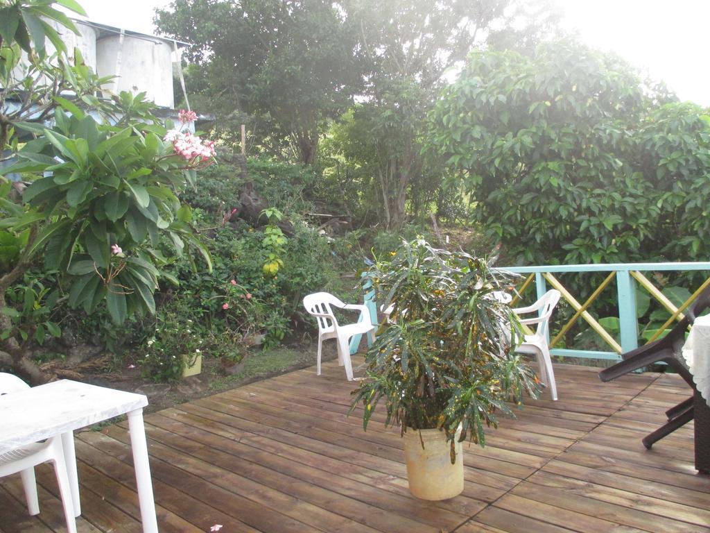 Hotel Flemming Tree Providencia Island Екстер'єр фото
